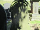 image of grave number 729915
